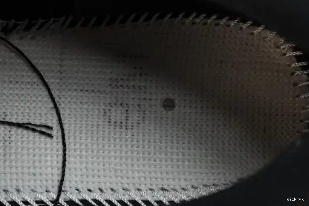 Rep Jordan 3 